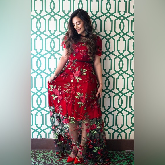 Beautiful Sheer Overlay Dress - Picture 10 of 11